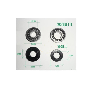 RICAMBIO CUSCINETTI PIU\' SIGILLI PER MOTOSEGA 52CC, EG5200/YB